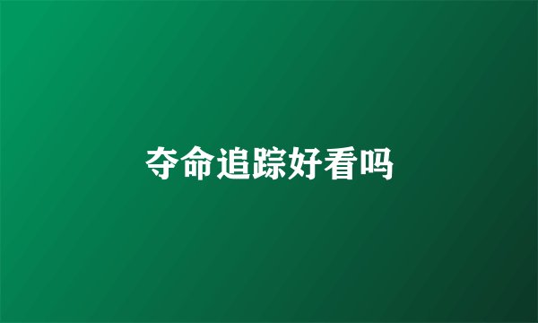 夺命追踪好看吗
