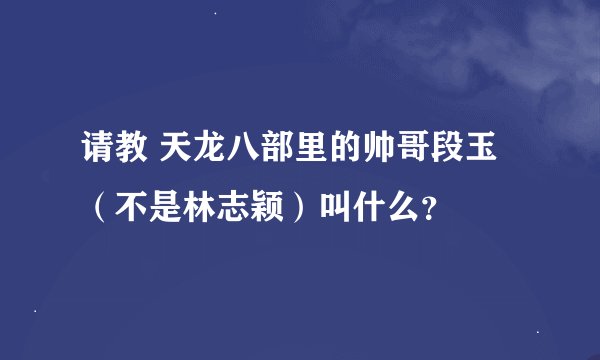 请教 天龙八部里的帅哥段玉（不是林志颖）叫什么？