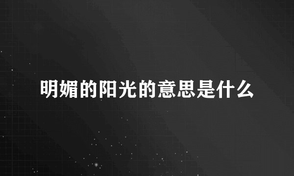 明媚的阳光的意思是什么