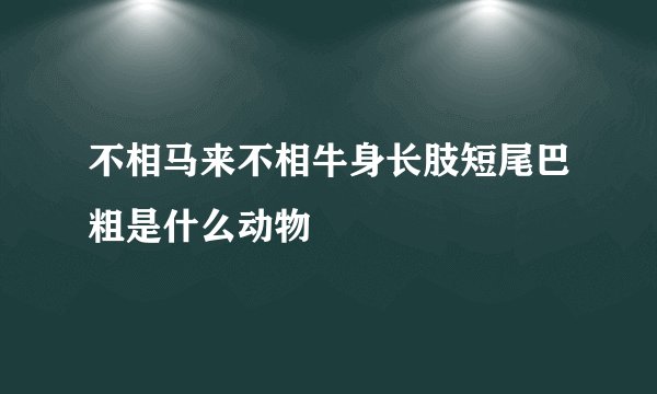 不相马来不相牛身长肢短尾巴粗是什么动物