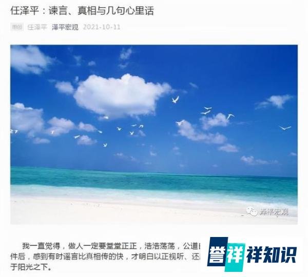 1500万年薪忽悠了许家印？任泽平回应：谏言降负债被批评格局不够