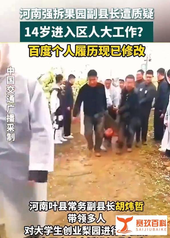 叶县强拆果园副县长火了：15岁进区人大工作，能力堪比神童还牛