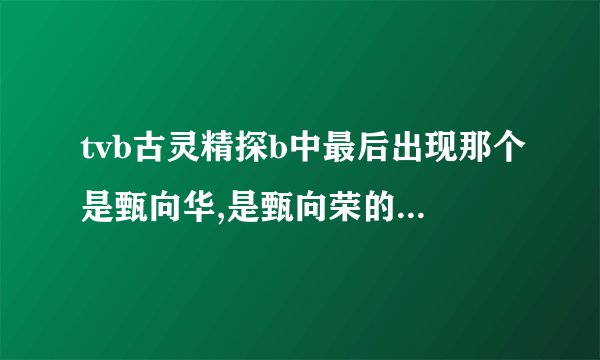 tvb古灵精探b中最后出现那个是甄向华,是甄向荣的孪生兄弟？!