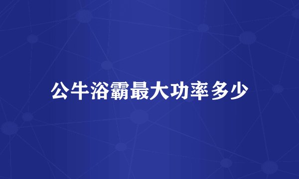 公牛浴霸最大功率多少