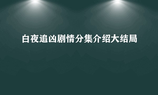 白夜追凶剧情分集介绍大结局