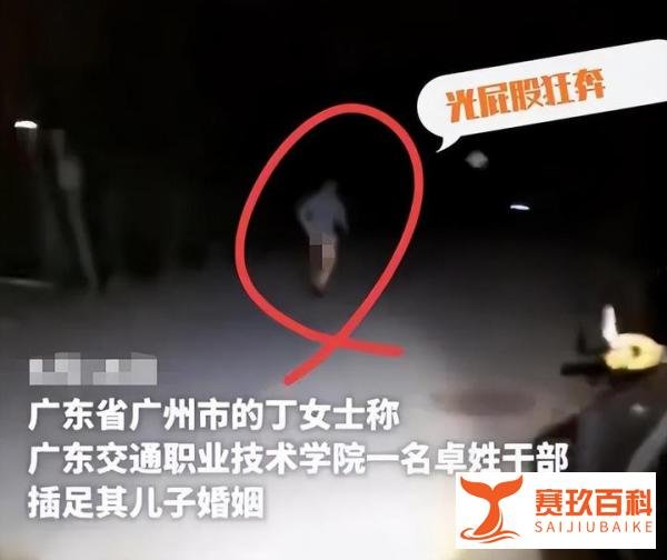 一场闹剧落幕,裸奔卓处长彻底歇菜,张女士的“遮羞布”也被扯下