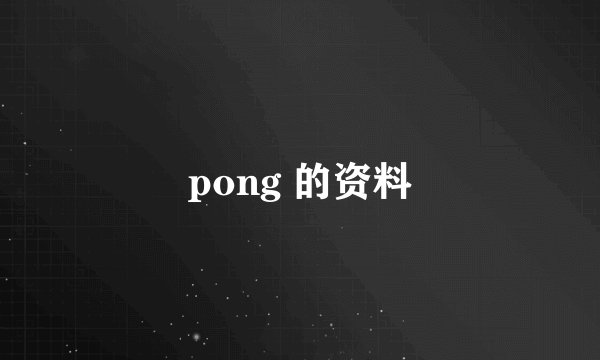 pong 的资料