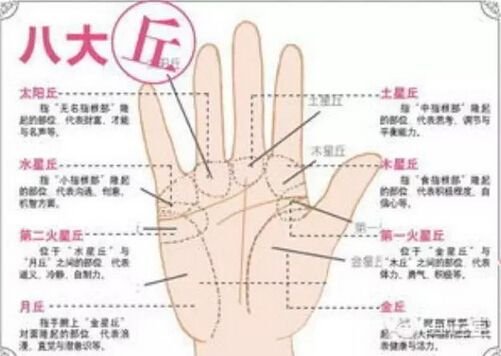 看手相到底准确吗？
