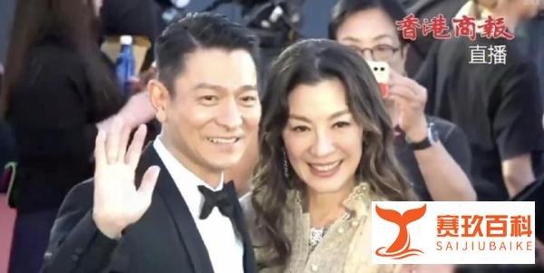 第41届香港电影金像奖众星亮相金像奖红毯刘德华与杨紫琼同框