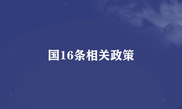 国16条相关政策