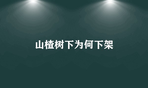 山楂树下为何下架
