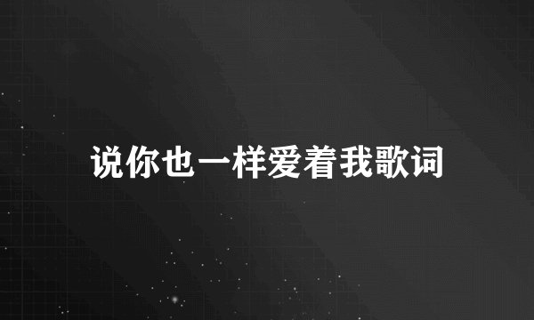 说你也一样爱着我歌词