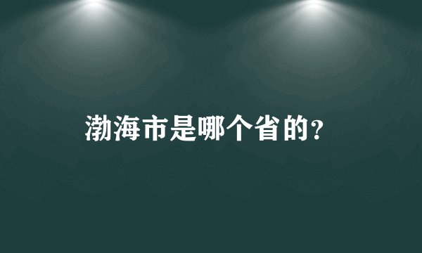 渤海市是哪个省的?