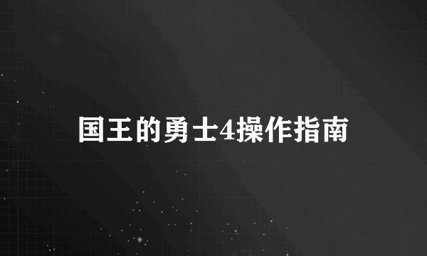 国王的勇士4操作指南