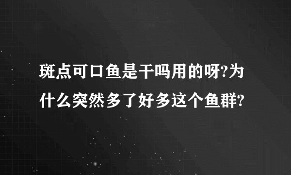 斑点可口鱼是干吗用的呀?为什么突然多了好多这个鱼群?