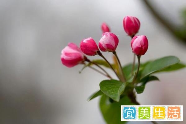 女人是好命还是苦命，关键看三个特征，越到中年越明显