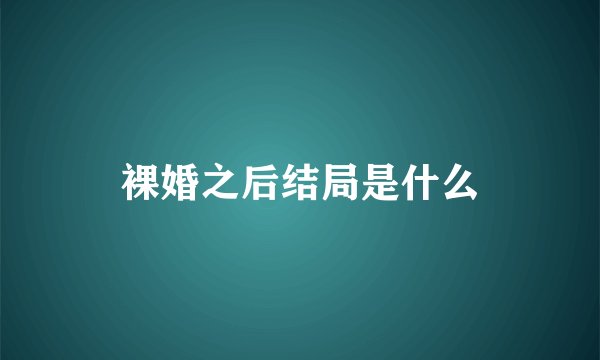 裸婚之后结局是什么