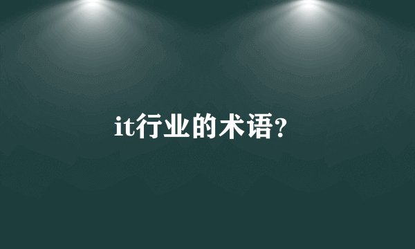 it行业的术语？