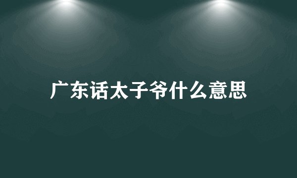 广东话太子爷什么意思