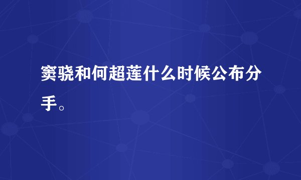 窦骁和何超莲什么时候公布分手。