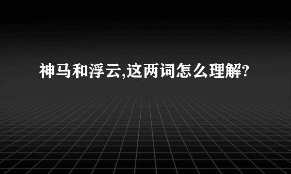 神马和浮云,这两词怎么理解?