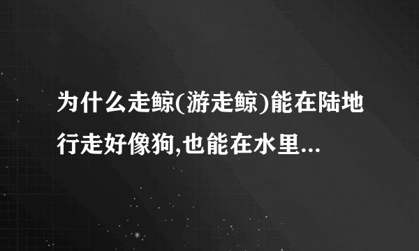 为什么走鲸(游走鲸)能在陆地行走好像狗,也能在水里能一直闭气四肢划水游泳时