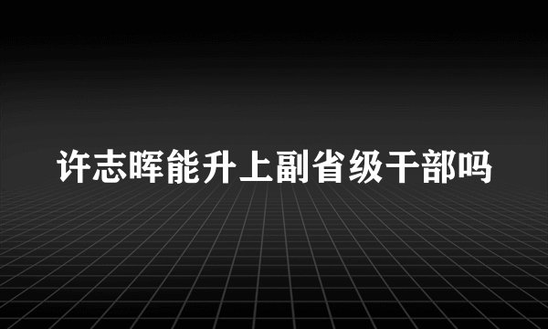 许志晖能升上副省级干部吗
