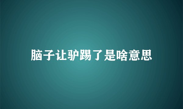 脑子让驴踢了是啥意思