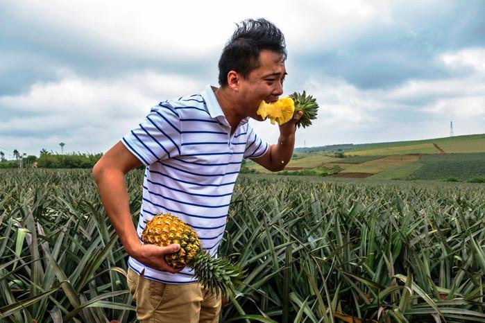 为挺台湾凤梨,男子狂吃凤梨险丧命,这是怎么一回事?