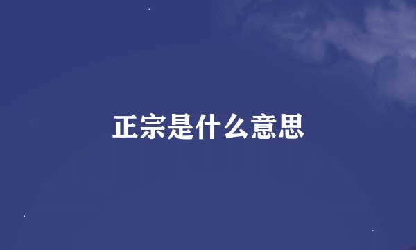 正宗是什么意思