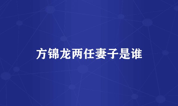 方锦龙两任妻子是谁