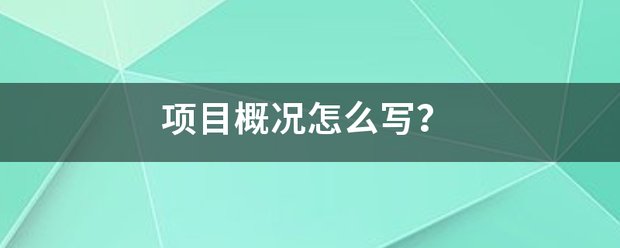 项目概况怎么写？
