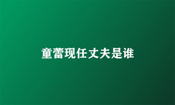 童蕾现任丈夫是谁