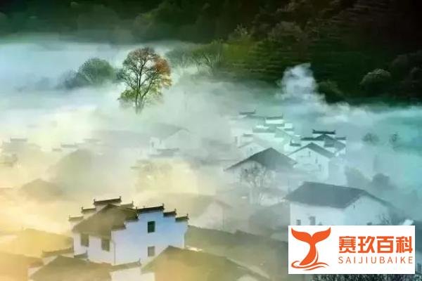 风的故乡，风的离愁