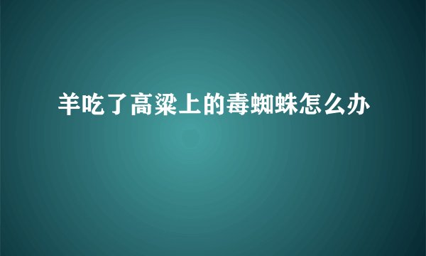 羊吃了高粱上的毒蜘蛛怎么办