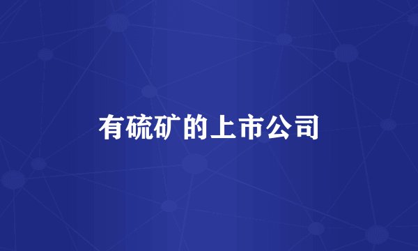 有硫矿的上市公司