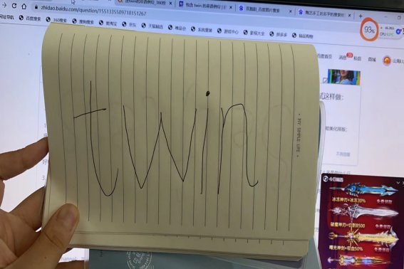 twin的意思