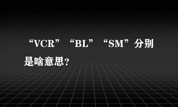 “VCR”“BL”“SM”分别是啥意思？