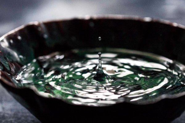 《一碗水》这篇课文表达了作者怎样的感情？
