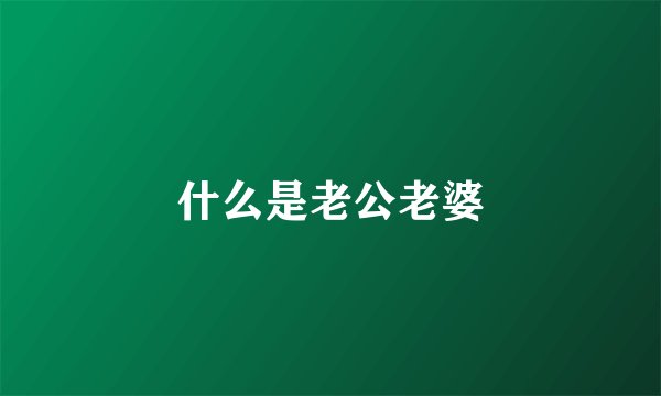 什么是老公老婆