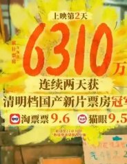 向阳花票房多少回本