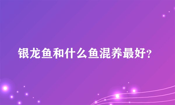 银龙鱼和什么鱼混养最好？