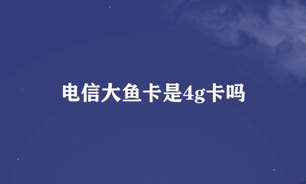 电信大鱼卡是4g卡吗
