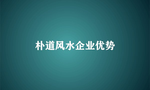 朴道风水企业优势
