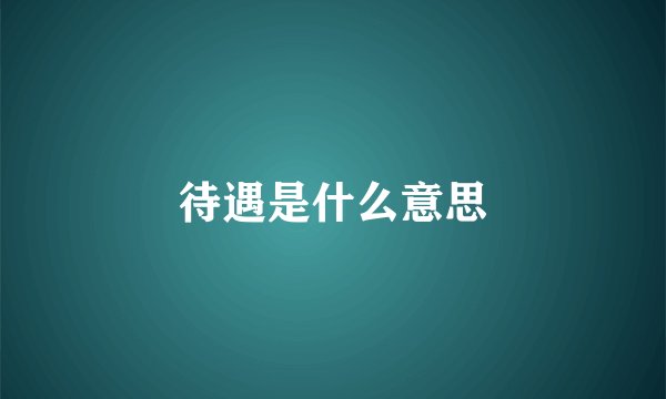 待遇是什么意思