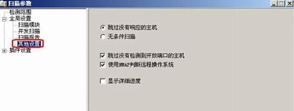 图解X-Scan扫描器使用方法