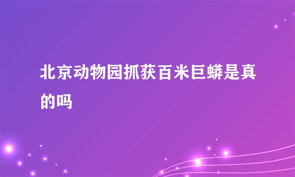 北京动物园抓获百米巨蟒是真的吗