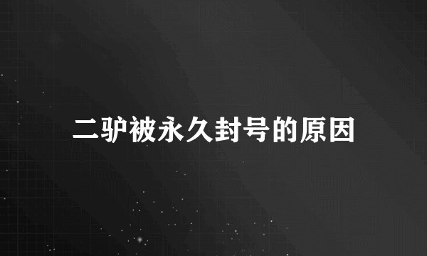 二驴被永久封号的原因
