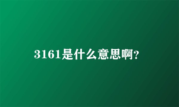 3161是什么意思啊？