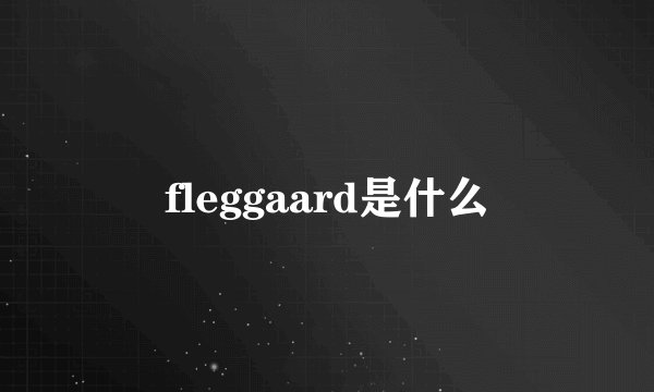 fleggaard是什么